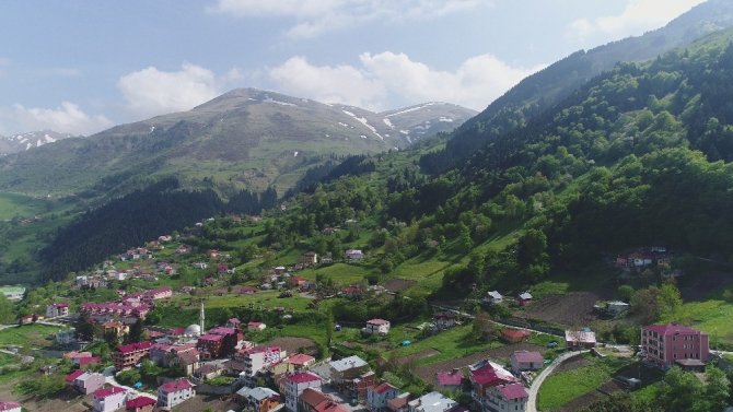 Bozulmamış Doğasıyla Yerli Ve Yabancı Turistleri Cezbeden Hamsiköy Bugünlerde Sessizliğe Büründü