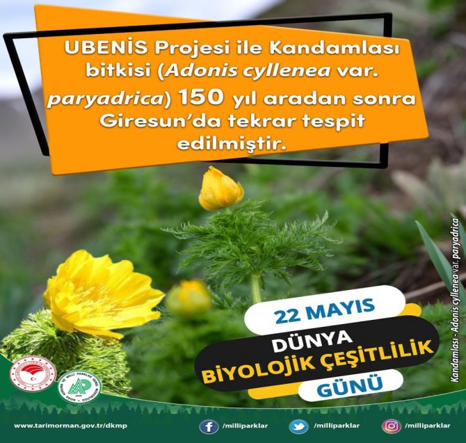 Bakan Pakdemirli’den 22 Mayıs Uluslararası Biyolojik Çeşitlilik Günü Mesajı