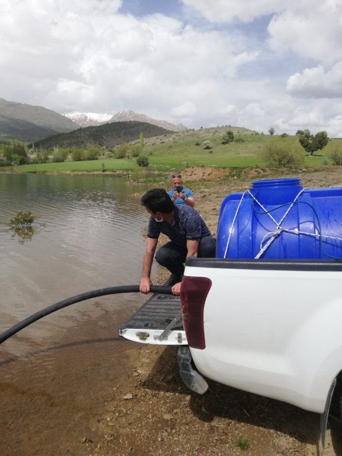 Yeniköy Göletine 40 Bin Sazan Yavrusu Bırakıldı