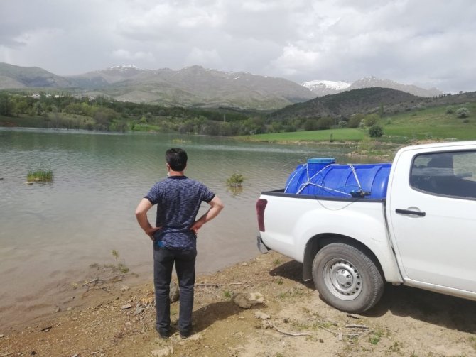 Yeniköy Göletine 40 Bin Sazan Yavrusu Bırakıldı