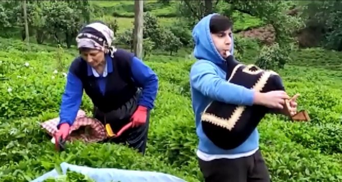 Rize’de Çay Üreticileri Tulum İle Müzik Eşliğinde Çay Topladı