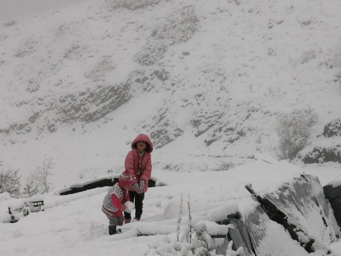 Artvin’de Mayıs Ayında Kar Yağdı, Hayvancılıkla Uğraşanlar Zor Anlar Yaşadı