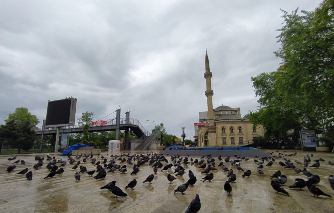 Trabzon’un Akçaabat İlçesinde Meydan Güvercinlere Kaldı