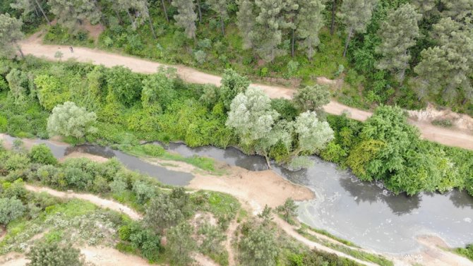 Aydos Ormanı’nın Gölüne Akan Atıklar Ve Kirli Sular Canlıları Tehdit Ediyor