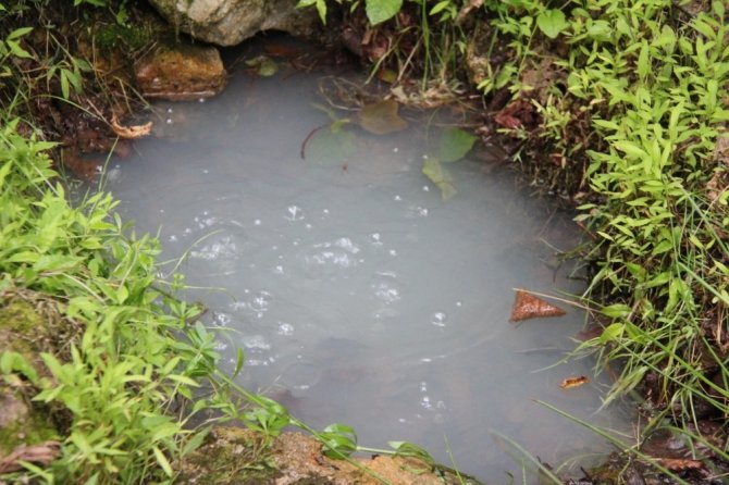 Trabzon’un Araklı İlçesinde Fındıklık İçinde Kaplıca Ve Maden Suyu Bulundu