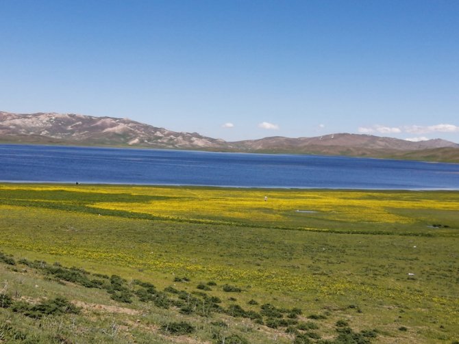 Yeşilin, Mavinin Ve Sarının Buluştuğu Keşiş Gölü Hayran Bırakıyor