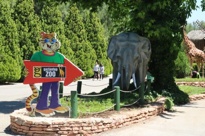 Türkiye’nin En Büyük Hayvanat Bahçesi 2,5 Ay Sonra Kapılarını Açtı
