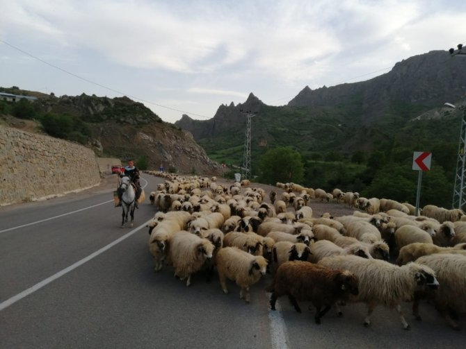Şebinkarahisarlı Yaylacılar Haziran Ayına Kaldı