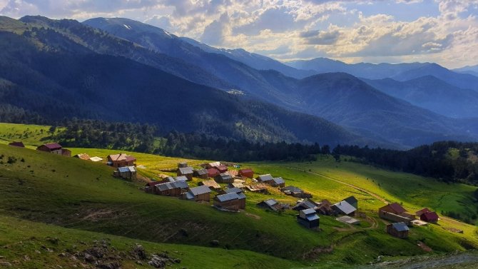 Gümüşhane Yaylalarında Görsel Şölen Başladı