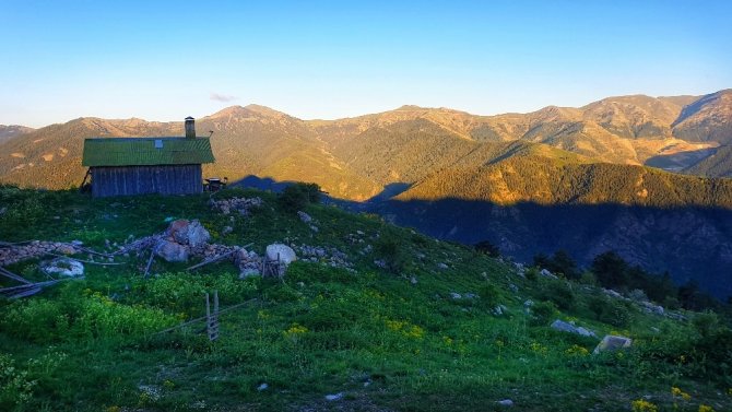 Gümüşhane Yaylalarında Görsel Şölen Başladı