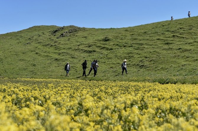 Gümüşhane’de Karantina Sonrası Doğa İle İlk Buluşma