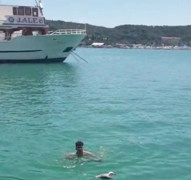 Ayağına Poşet Dolanan Martı İçin Seferber Oldular