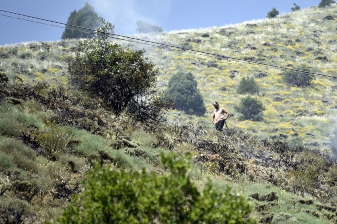 Gümüşhane’de Örtü Yangını