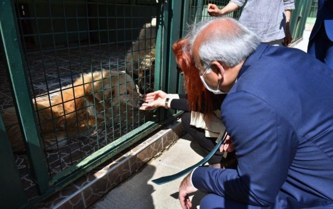 Başkan Zorluoğlu’ndan 