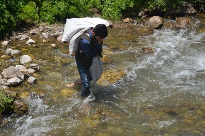 Şırnak’ta Sezonun Son Pancarları Toplandı