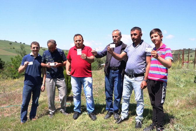 Bu Mahallede Erkeklerin İsmi "Yahya"