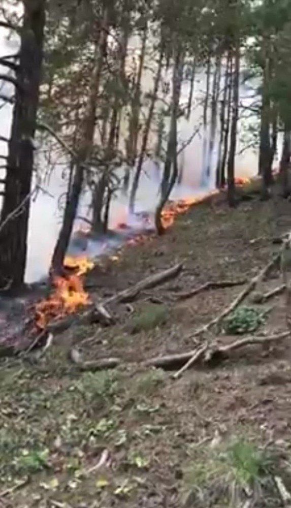 Artvin’de Ormanlık Alana Düşen Yıldırım Sonrası Yangın Çıktı