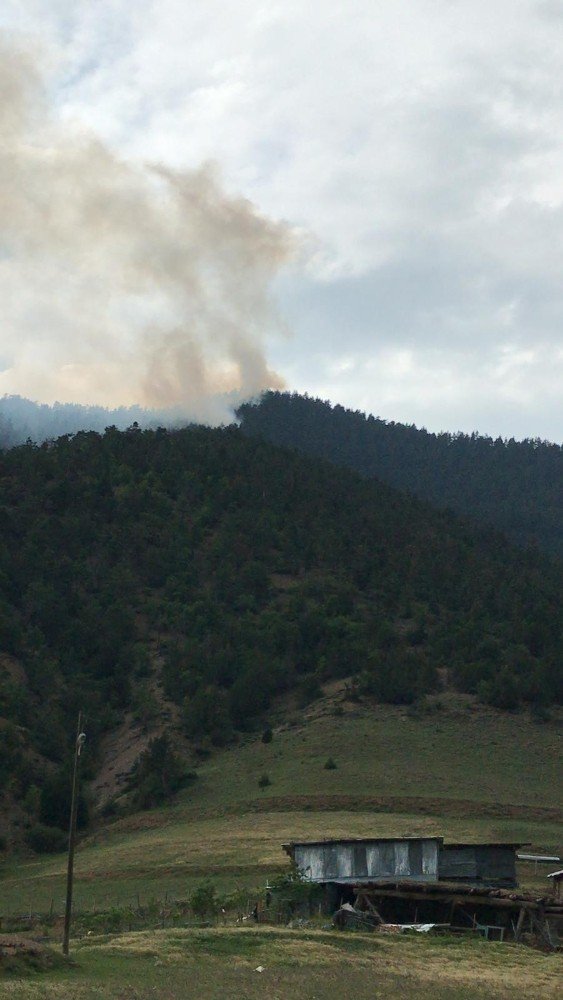 Artvin’de Ormanlık Alana Düşen Yıldırım Sonrası Yangın Çıktı