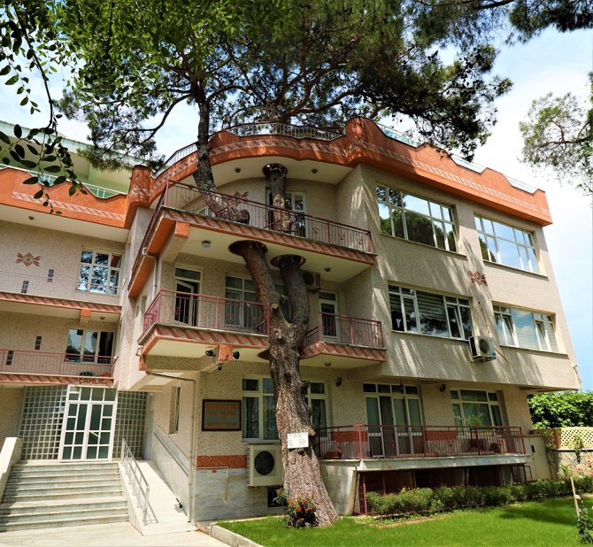 Kesmeye Kıyamadıkları Ağacı Binanın İçinden Geçirdiler