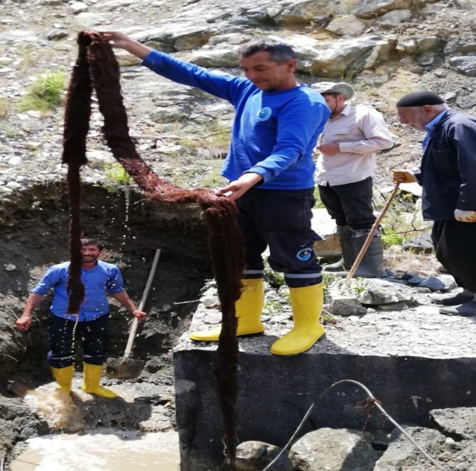 İçme Suyu Borusundan Çıkan Ağaç Kökü Görenleri Şaşkına Çevirdi