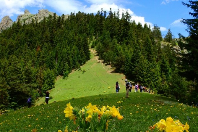 Gümüşhane Yaylalarını Yürüyerek Keşfediyorlar