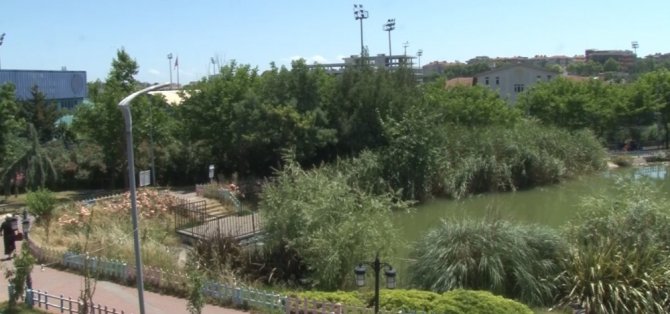 Açık Hava Düğünlerine İlgi Artıyor