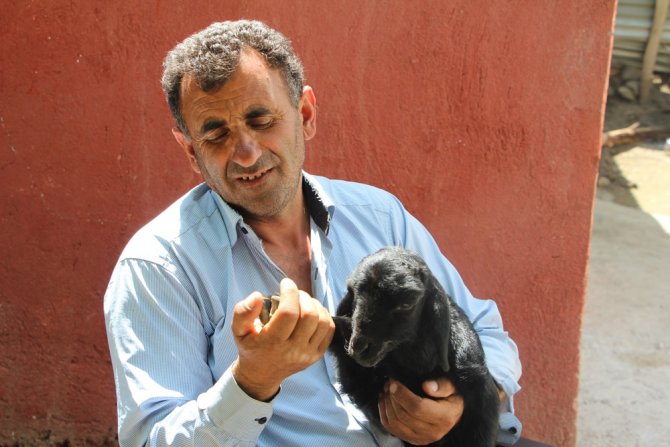 Depremzede Kuzuya Bebek Gibi Bakıyorlar