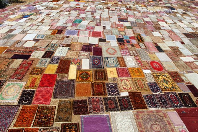 Halı Tarlaları Sezonu Açtı, Buğday Arazilerinde Renk Cümbüşü Yaşandı