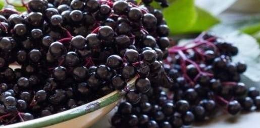 Korona Virüs Salgınında Değeri Daha İyi Anlaşıldı