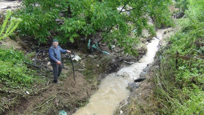 Yağmur Hayatı Felç Etti; Dereler Taştı, Köprüler Yıkıldı, Ağaçlar Devrildi