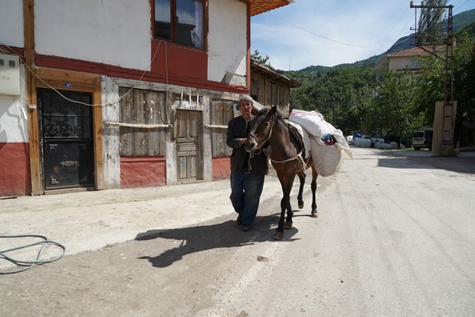 At Sırtında Çerçicilikle Geçen Bir Ömür