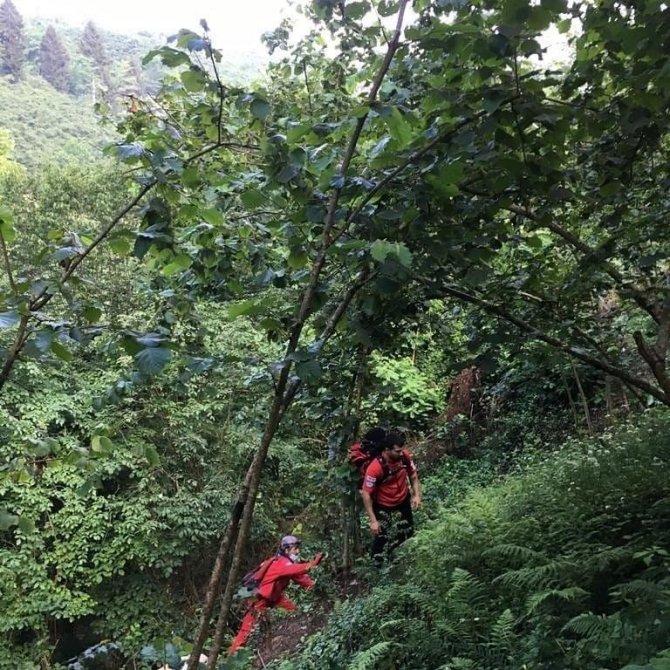 Kayıp 7 Yaşındaki İkranur Her Yerde Aranıyor