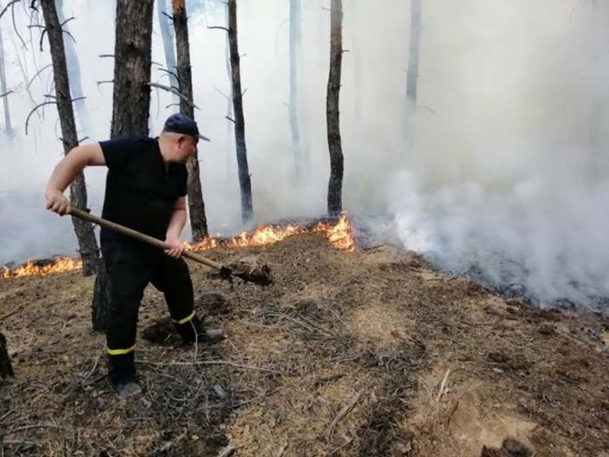 Ukrayna’daki Orman Yangınında Bilanço Artıyor