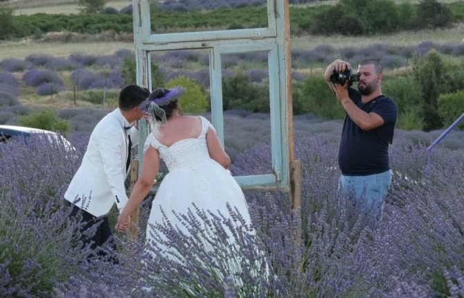 Lavanta Kokulu Köyde Pandemi Sakinliği
