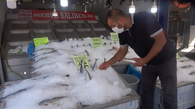 Korona Virüs Balık Satışlarını Artırdı, En Çok Levrek Ve Çipura Tüketiliyor