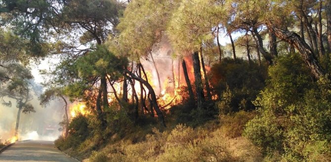 Heybeliada’da Orman Yangını