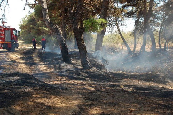 Saros’da Ormanlık Alandaki Yangın Kontrol Altına Alındı