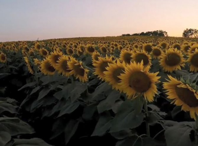 Bu Şehri Görmeden Tatil Planı Yapmayın