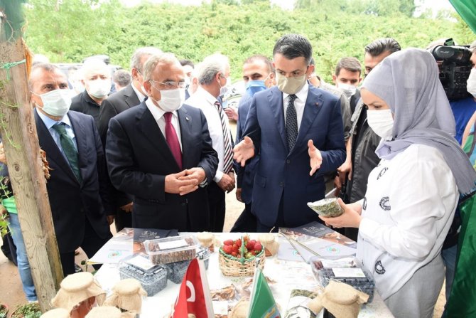 “2020 Yılı Fındık Rekoltemizi 665 Bin Ton Olarak Öngörmekteyiz”