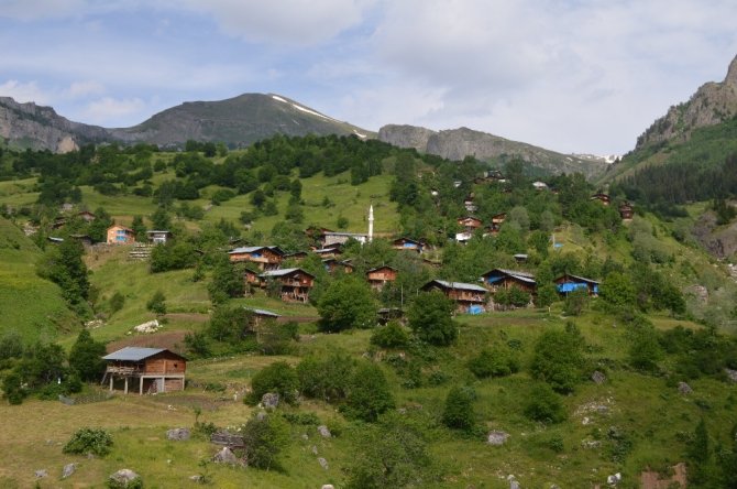 Artvin’de Maden Köy Şelalesi Keşfedilmeyi Bekliyor