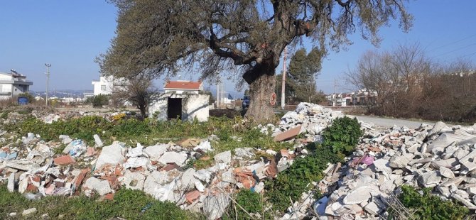 Kuşadası’nda 300 Yıllık Anıt Ağacın Çevresini Hafriyat Dökerek, Çöplüğe Çevirdiler
