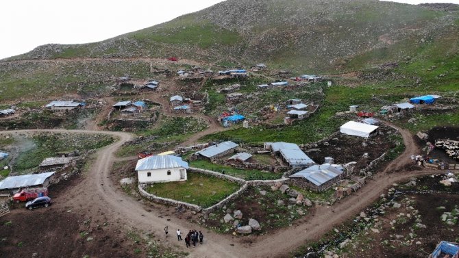 Artvin’de Asırlık Yaylacılık Geleneği Yaşatılıyor