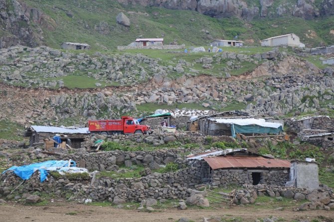 Artvin’de Asırlık Yaylacılık Geleneği Yaşatılıyor