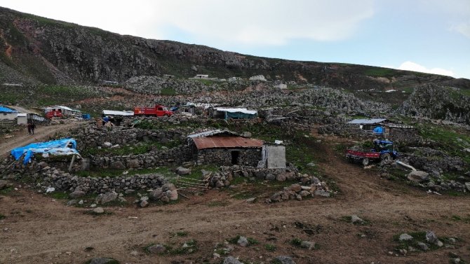 Artvin’de Asırlık Yaylacılık Geleneği Yaşatılıyor