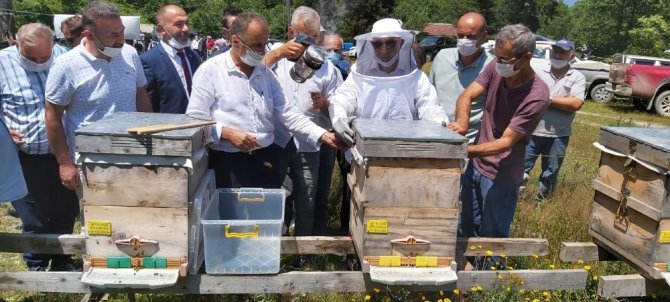 Artvin’de Sezonun İlk Bal Hasadı Yapıldı