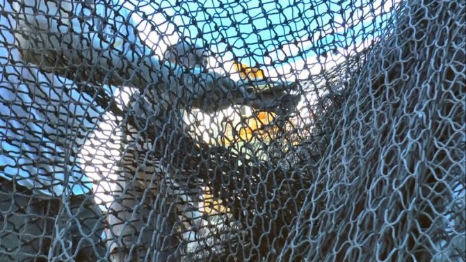 Giresunlu Balıkçılar Yeni Sezon Hazırlıklarına Başladı