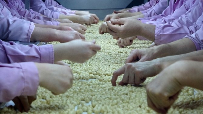 Fındıkta Tahmini Rekolte Belirlendi