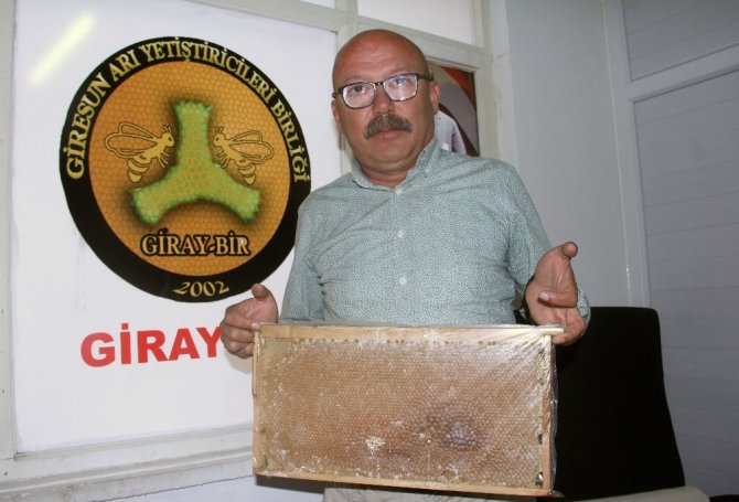 Bu Bal Az Kullanımda İlaç, Çok Kullanımda Zehir Oluyor