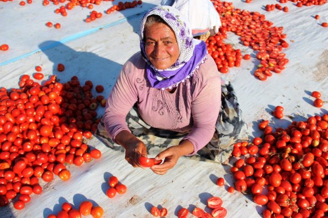 İtalya’nın Pizzasına, Abd’nin Hamburgerine Torbalı Domatesi
