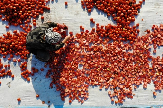 İtalya’nın Pizzasına, Abd’nin Hamburgerine Torbalı Domatesi